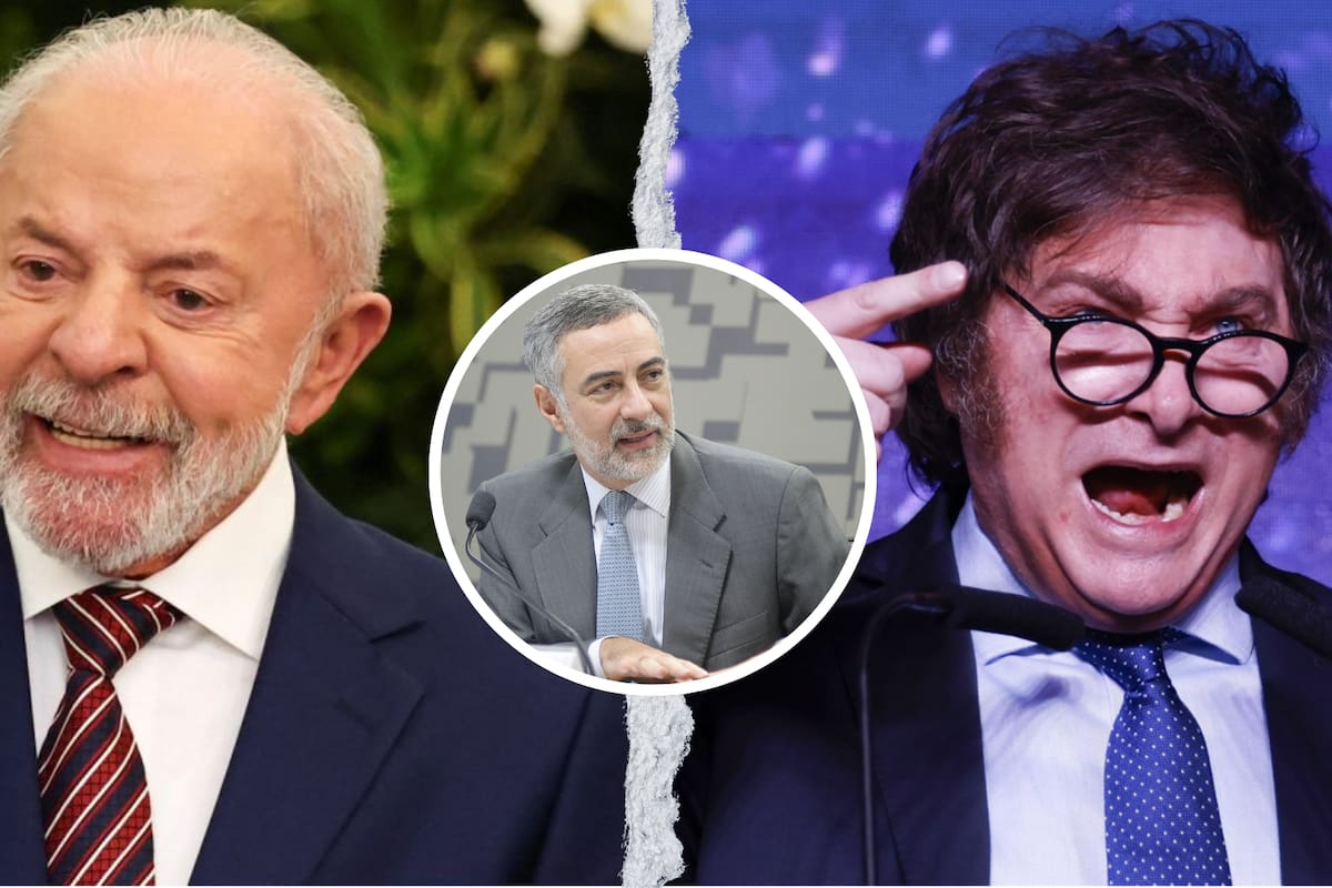 Brasil expulsó al embajador de Argentina y redujo el nivel de las relaciones diplomáticas tras los insultos del presidente Javier Milei contra su homólogo brasileño, en un nuevo episodio de tensión entre ambos países.