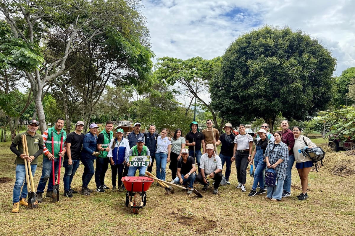Bucaramanga: 1.000 árboles fueron sembrados en este icónico parque