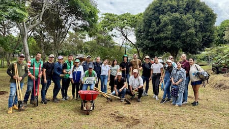 Bucaramanga: 1.000 árboles fueron sembrados en este icónico parque