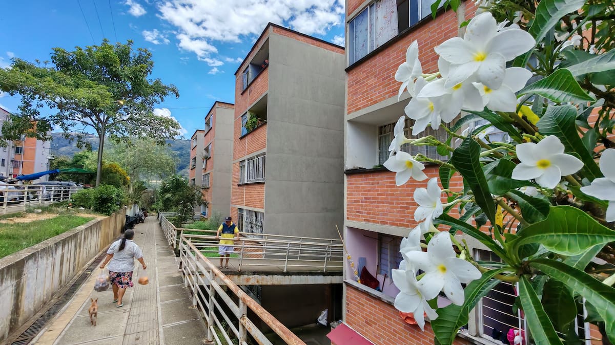 Nombre: Altos de Betania.
Comuna a la que pertenece: Norte
Estrato: 2
Fecha de fundación: Entre los años 2007 y 2009.
Construido por: HG Construcciones.
Sectores vecinos: Villas de San Ignacio y Café Madrid.
Vía principal del sector: la conocida como ‘Paso Malo’.