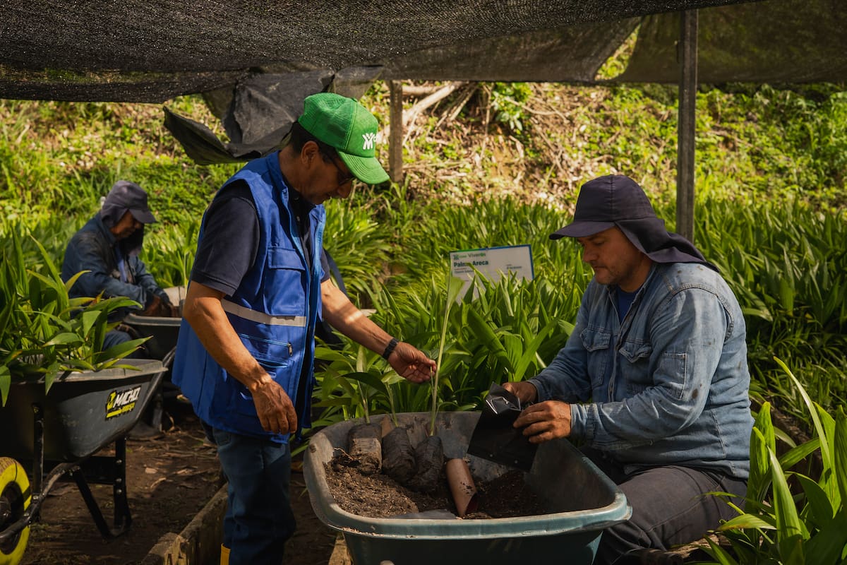 De una tierra vulnerable a un territorio lleno de vida. (Foto: Byron Pérez / VANGUARDIA)