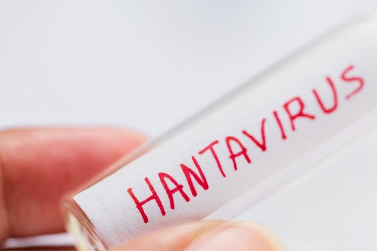 Expertos de la Universidad de Santander explican por qué no hay alarma por hantavirus en nuestro departamento.