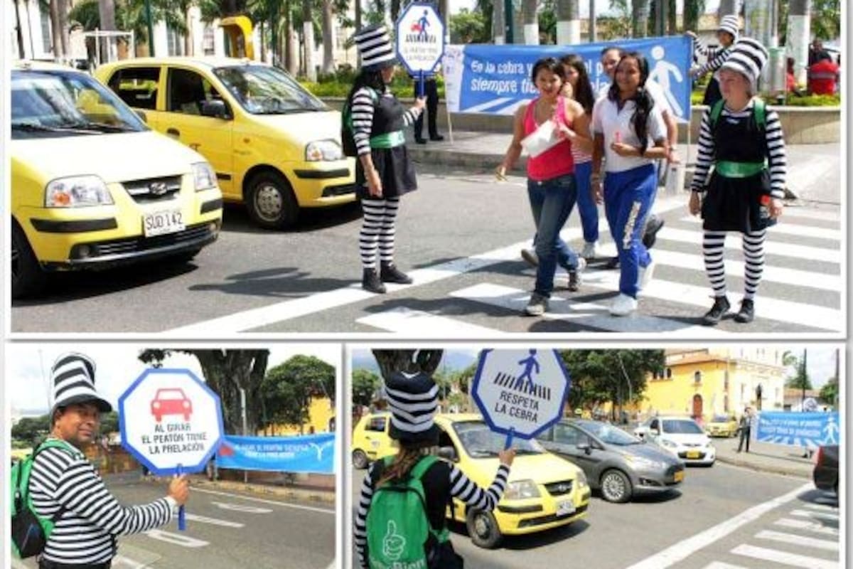 El respeto por el peatón y aprender a utilizar la 'cebra' es clave para salvar vidas. (Foto suministrada / VANGUARDIA)