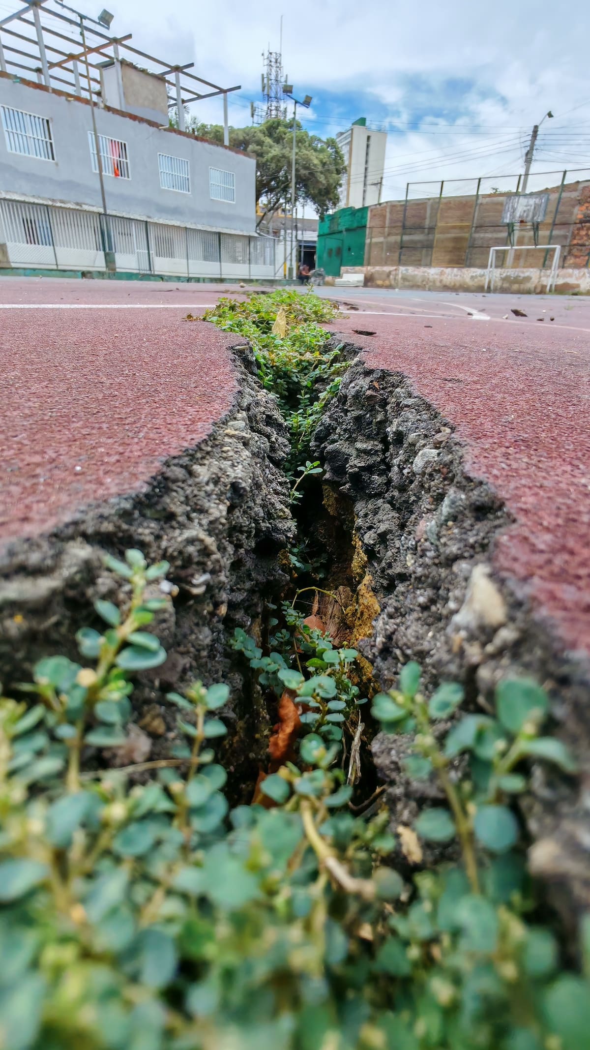 Grietas y maleza, la jugada 'perfecta' que da cuenta del abandono de los escenarios deportivos de los barrios de Bucaramanga. (Foto: Marco Valencia / VANGUARDIA)