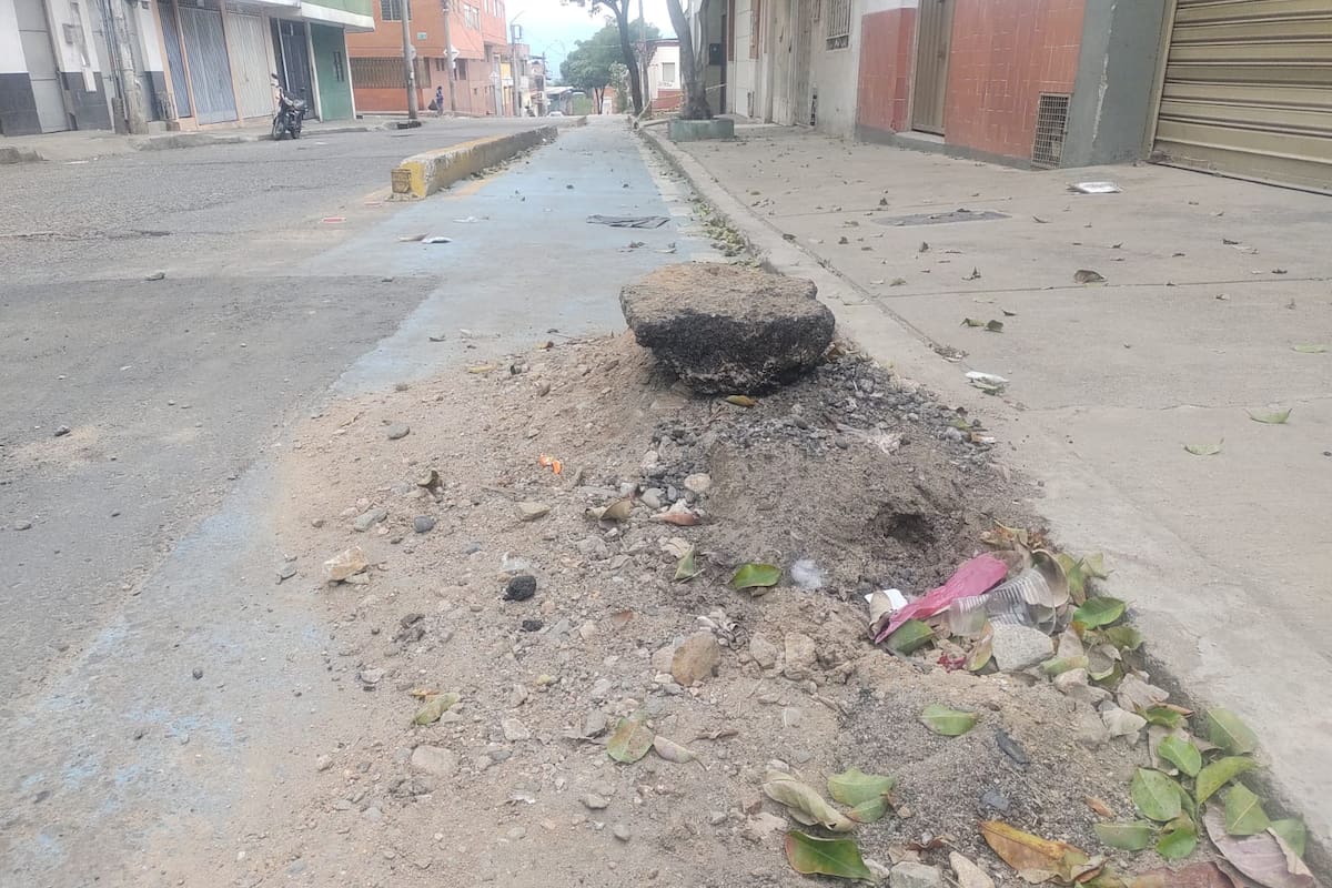 Ciclorruta de la calle 33. (Foto suministrada / VANGUARDIA)