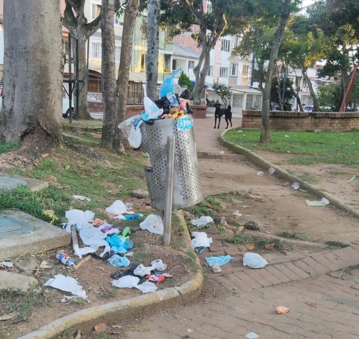 ¡Tremendo desaseo!