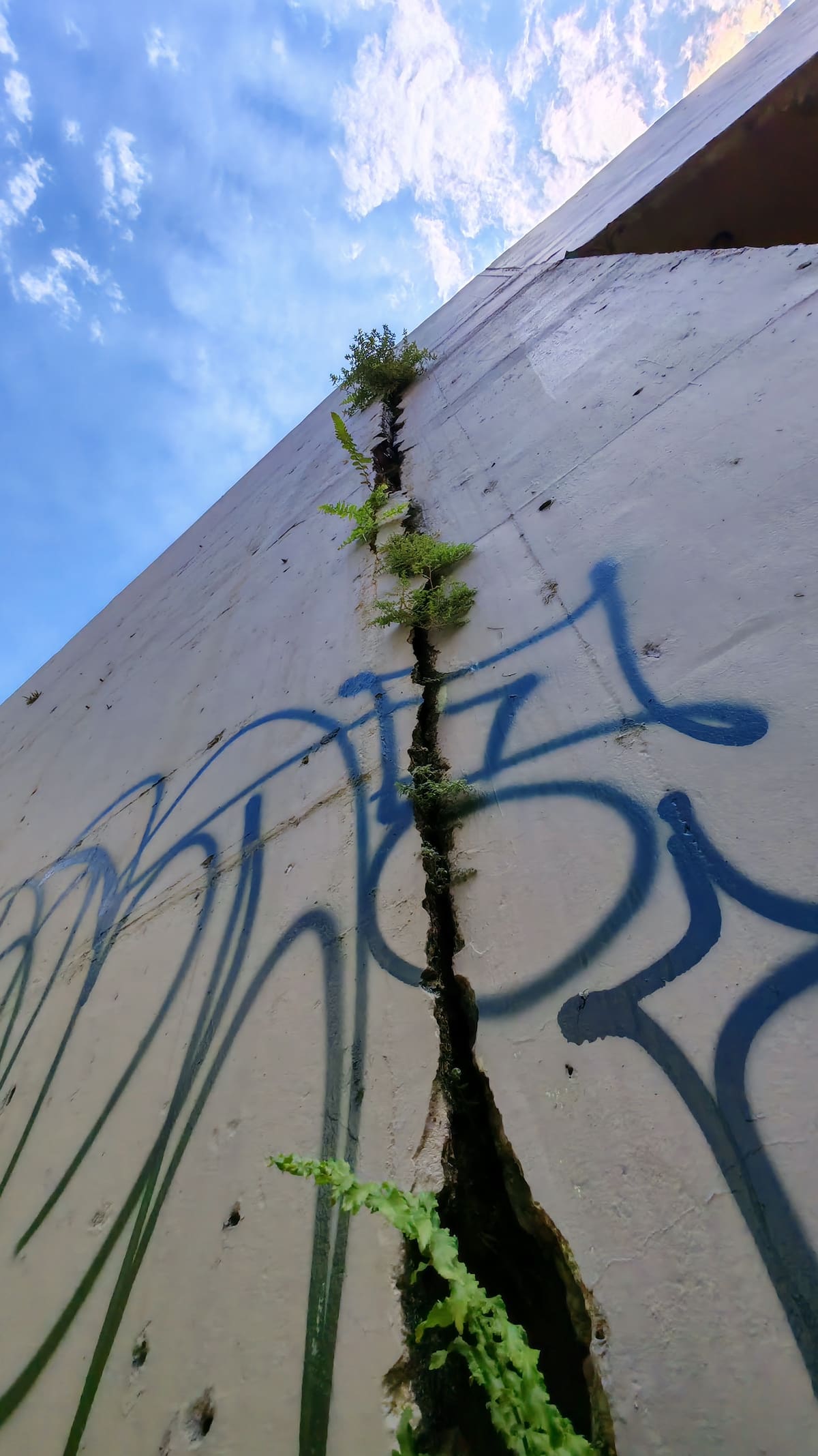 Grietas, hundimientos y acero expuesto en puente peatonal generan alerta en Bucaramanga. (Foto: Marco Valencia / VANGUARDIA)