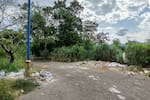 Retornos urbanos: maleza, escombros e inseguridad