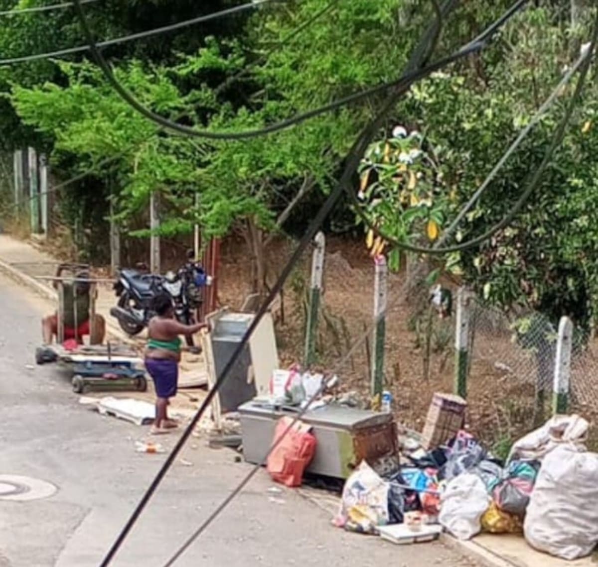 Denuncia la comunidad de la calle 36 con 2a: toda una cuadra convertida en basurero. (Foto suministrada / VANGUARDIA)