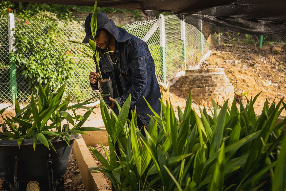 Nazareth: el poder de la naturaleza para volver a florecer. (Foto: Byron Pérez / VANGUARDIA)