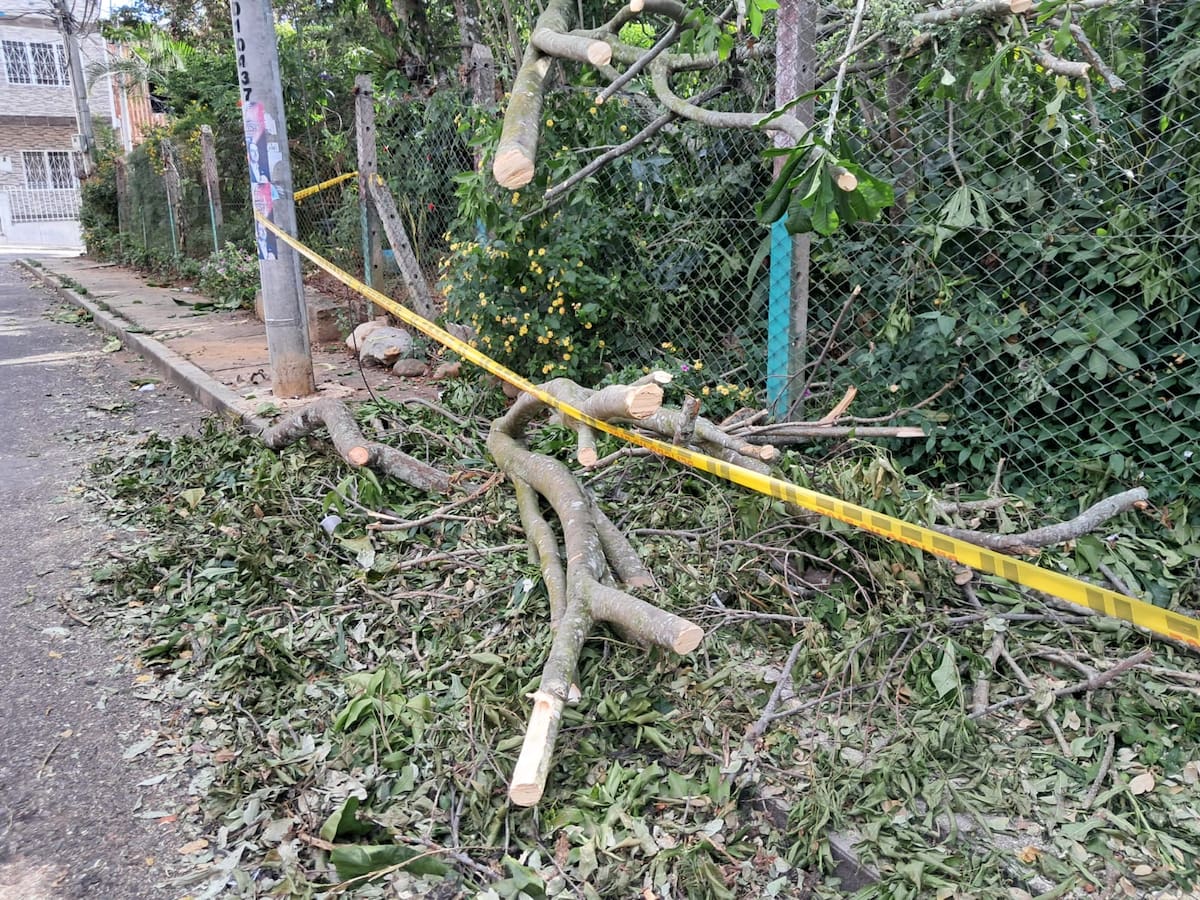 Una emergencia 'suspendida' entre cables: el llamado urgente de los vecinos. (Foto suministrada / VANGUARDIA)