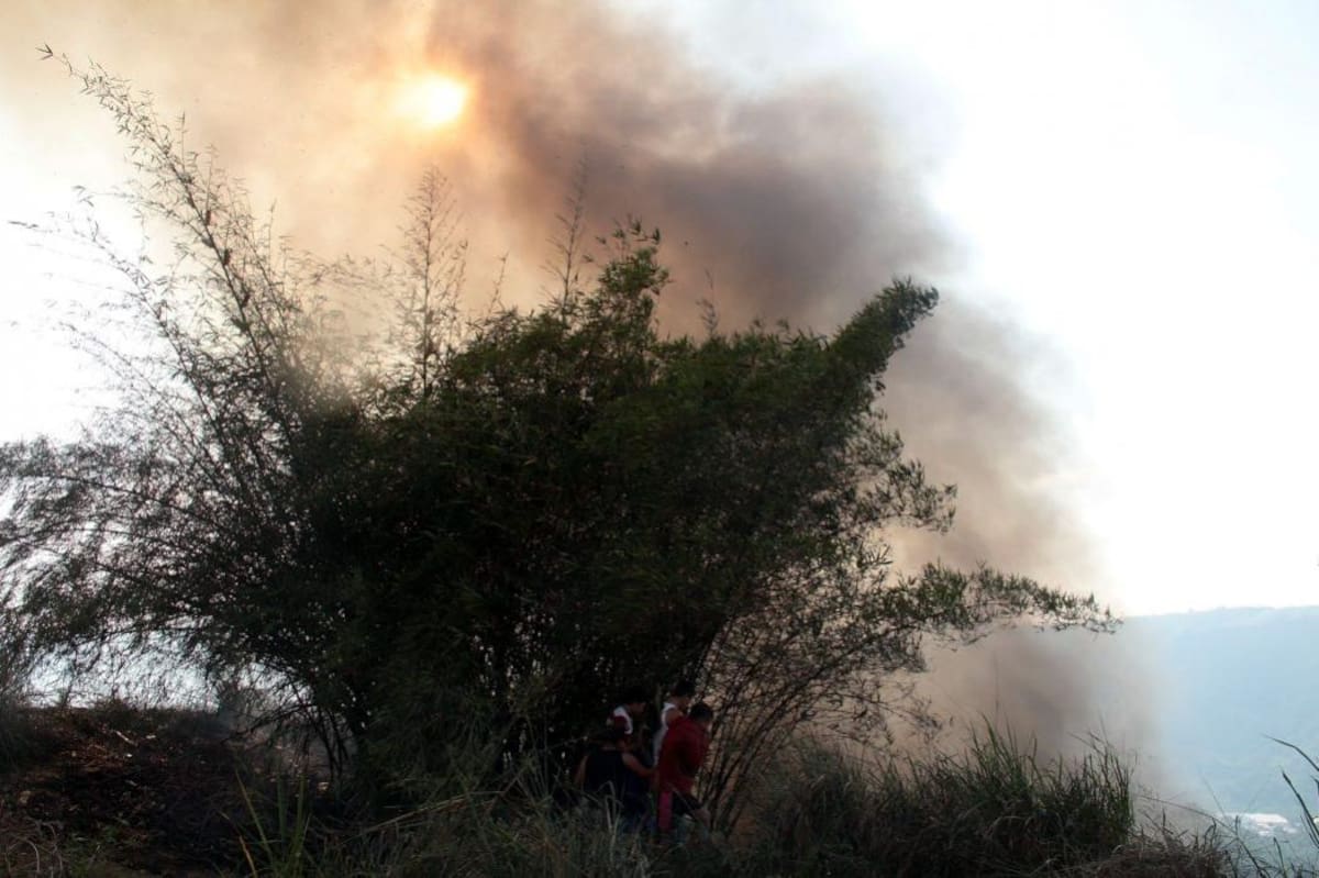 Incendio forestal
