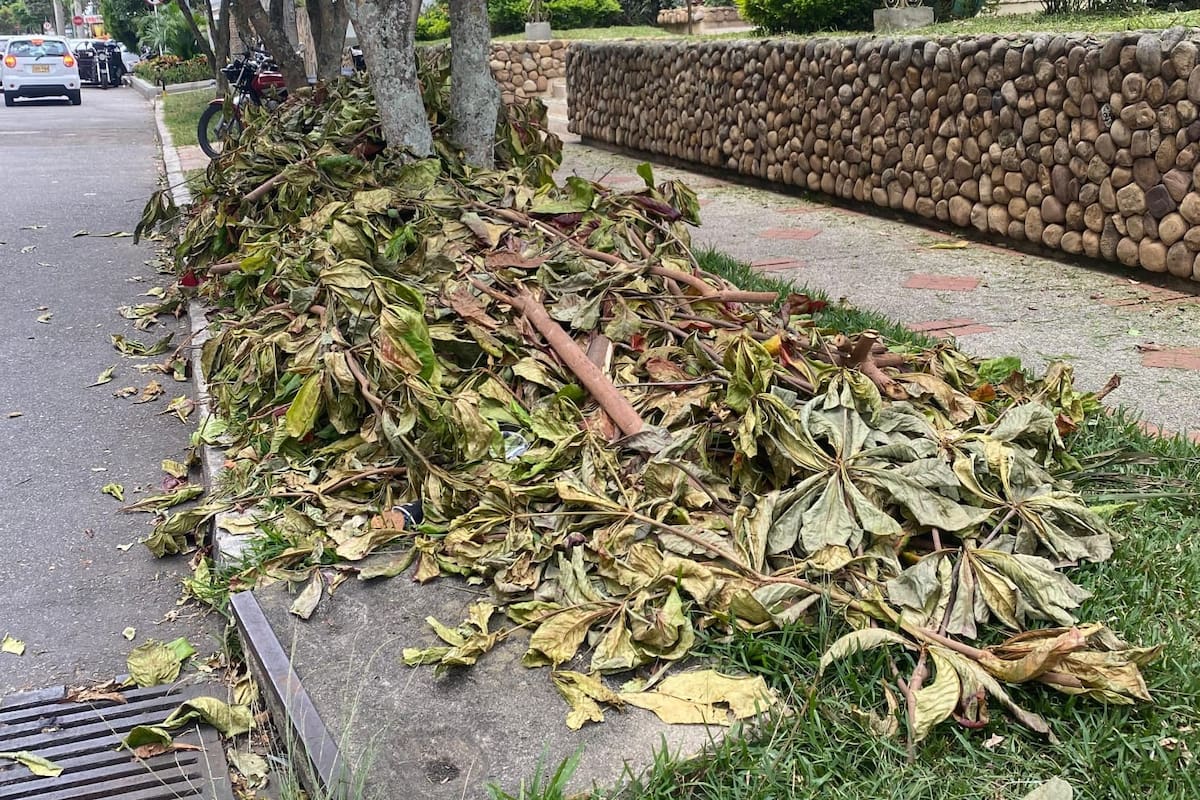 Comunidad pide mayor control tras abandono de desechos de poda en Bolarquí. (Foto suministradas por Sergio Angulo Prada / VANGUARDIA)