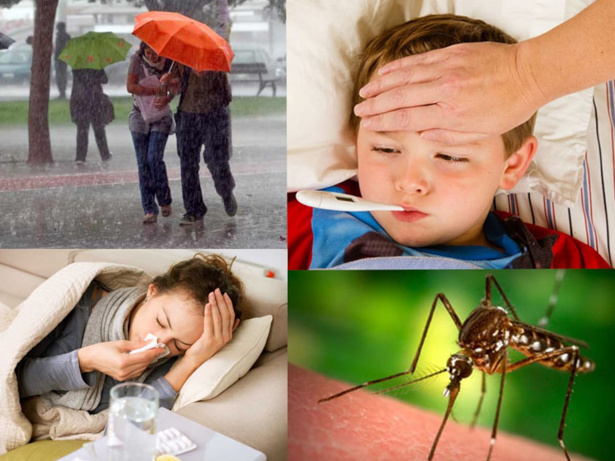 Además de los resfriados, que afectan principalmente a los niños, el agua estancada en las calles tras las lluvias se convierte en un ‘caldo de cultivo’ para la proliferación de criaderos del mosquito transmisor del dengue hemorrágico. ¡Es fundamental mantenerse alerta!