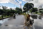 ¿Cómo rige hoy, 5 de septiembre, el pico y placa en Bucaramanga y el área?