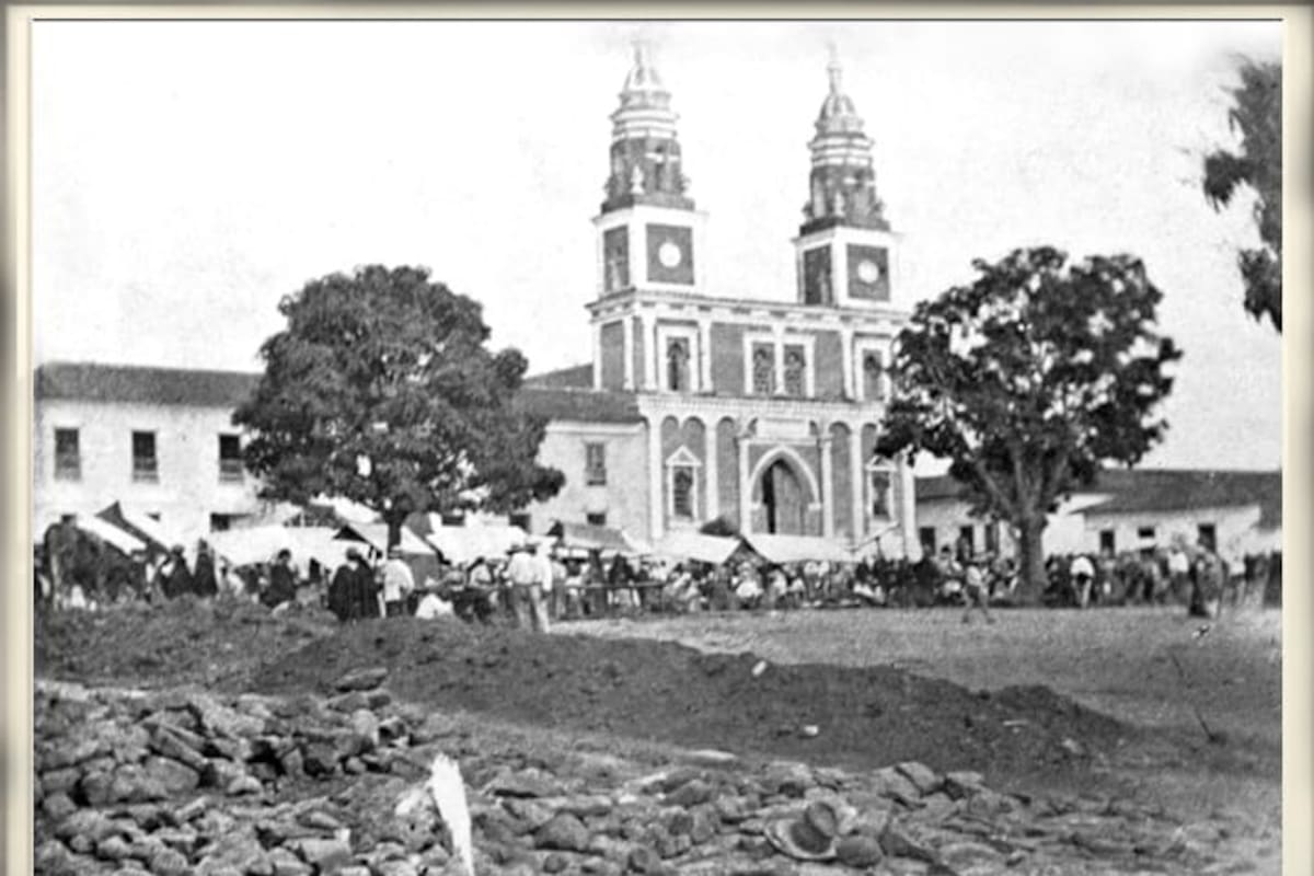 Esta imagen evoca la historia de la siembra de los famosos coconumas del ayer en el corazón de Bucaramanga. (Foto Archivo / Gavassa / VANGUARDIA)