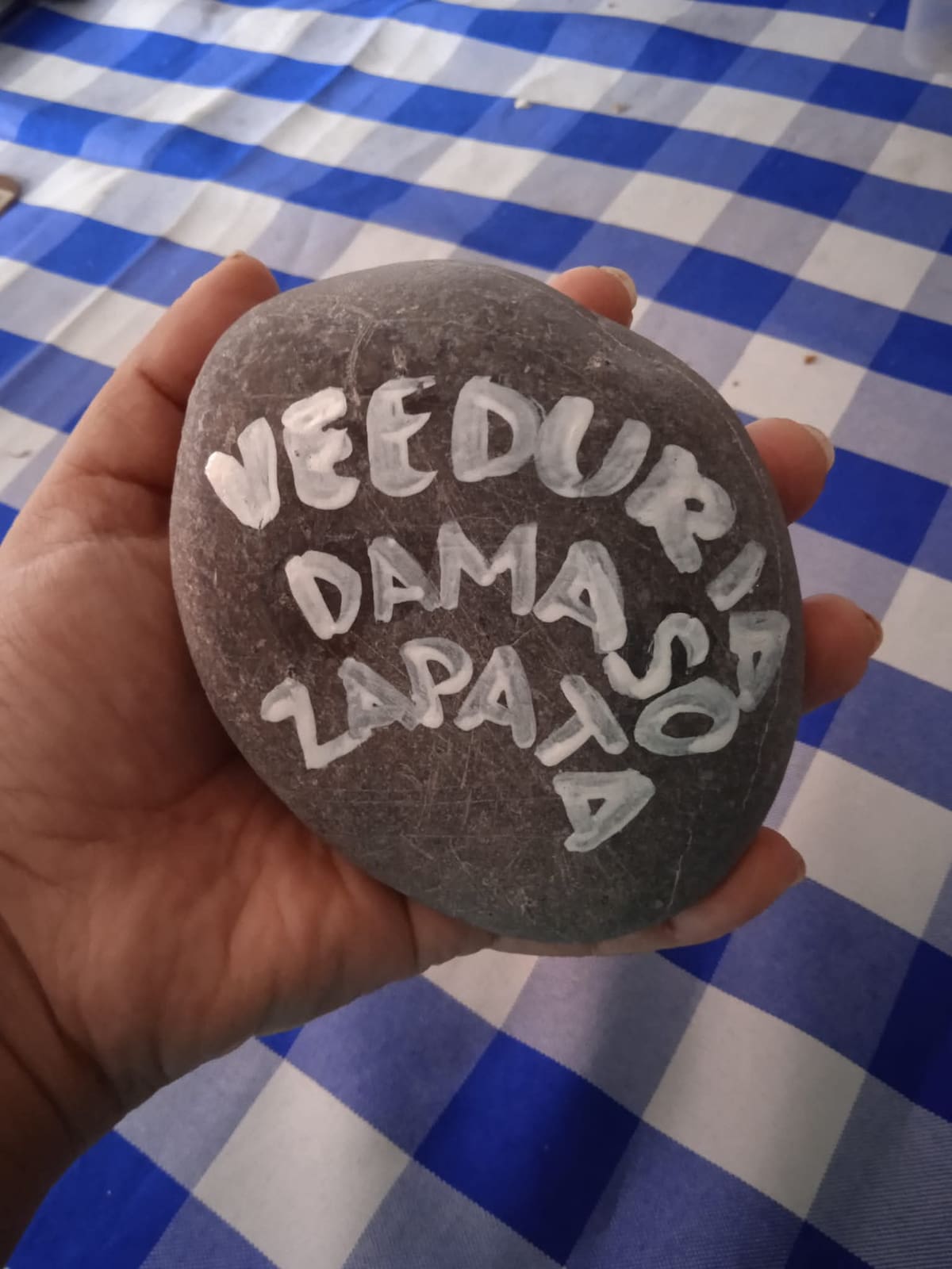 La Veeduría Ciudadana Dámaso Zapata.