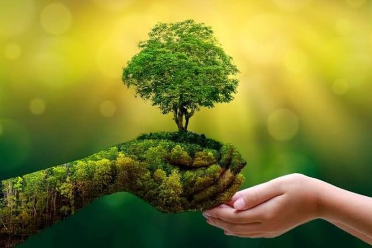 La comunidad bumanguesa respeta el medio ambiente.