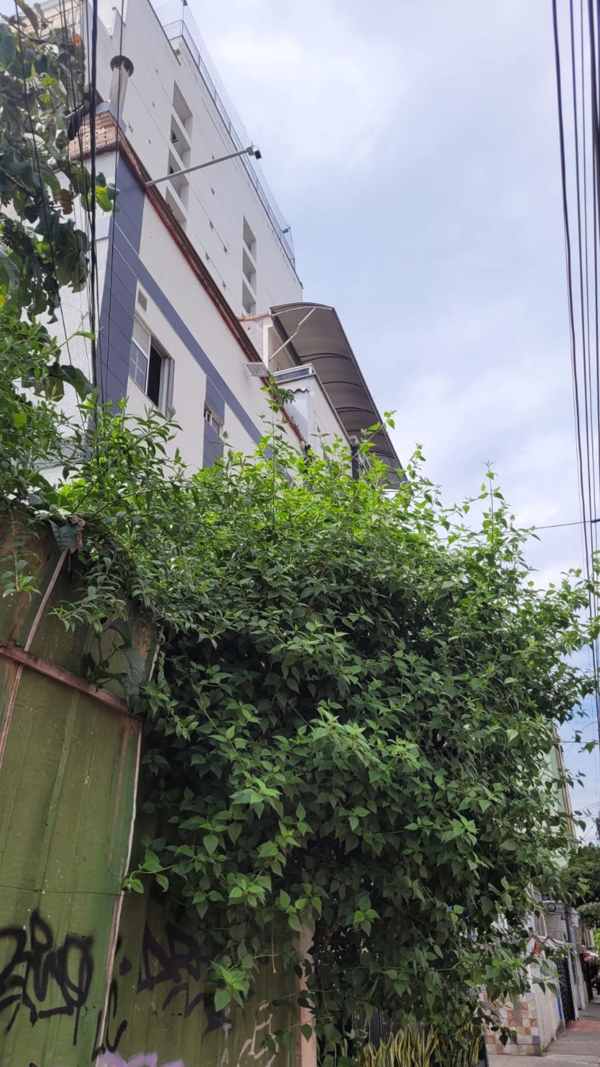 Los vecinos de este lote, en el barrio San Alonso, están desesperados por el abandono en el que se encuentra la zona. (Foto: Franz Rey / VANGUARDIA)