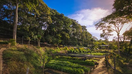 Vivero Nazareth: donde la tierra herida volvió a florecer