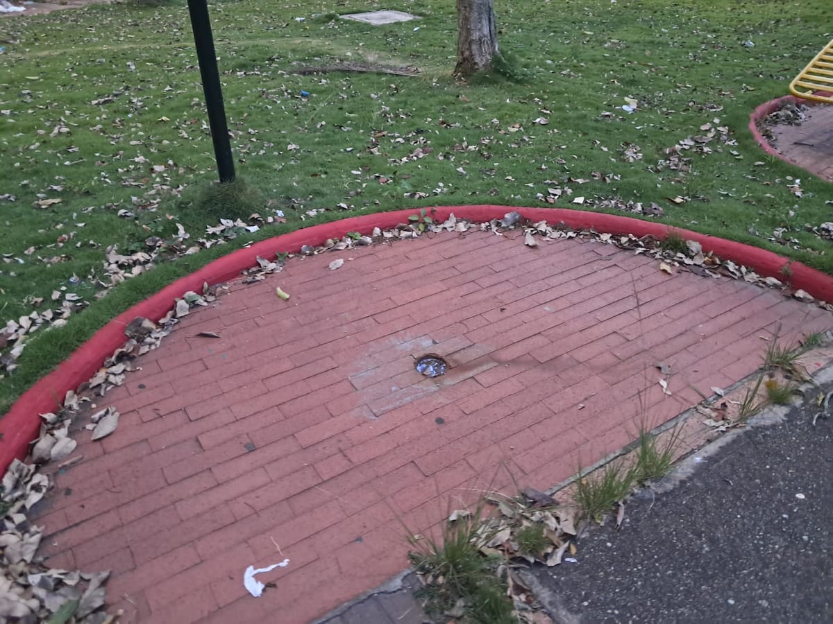 En este punto del Parque de las Tres B había un equipo del gimnasio al aire libro. Según denuncian los vecinos, gente inescrupulosa se lo robó.