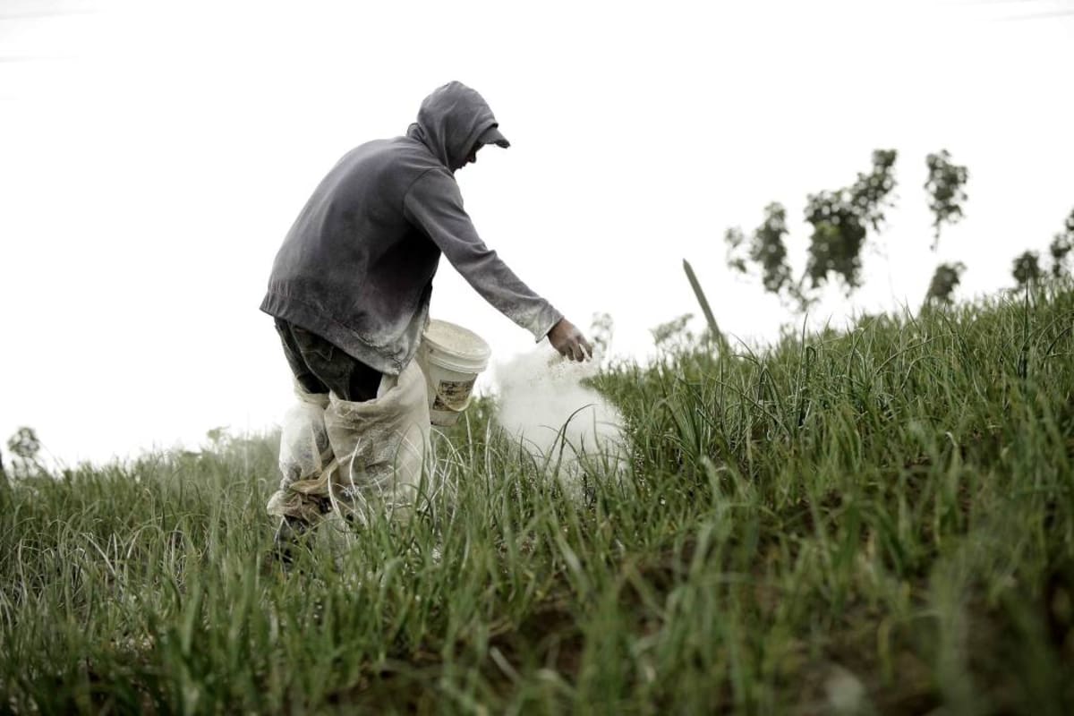 Bucaramanga: convocan a debate por el futuro del Páramo de Santurbán