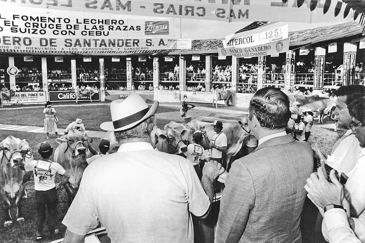 Vieja imagen del Coliseo de Ferias. (Archivo / VANGUARDIA)