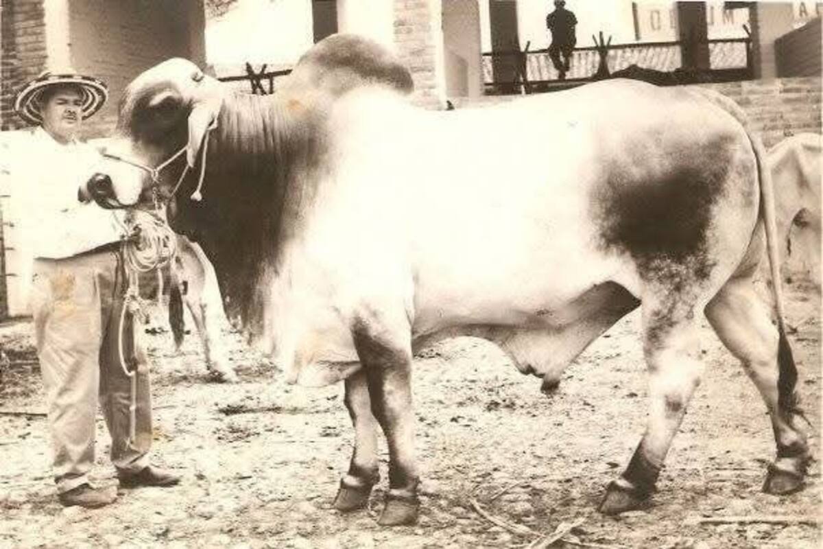 ¿Recuerdas las ferias de antes? (Archivo/ VANGUARDIA)