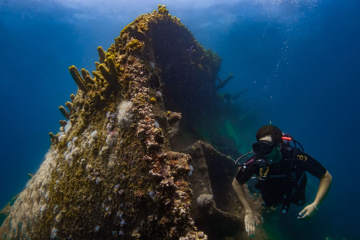 En Aruba hay muchas opciones para hacer snorkel o bucear. Una buena opción es hacerlo cerca de los barcos hundidos en los alrededores de la isla (Suministrada por la Autoridad de Turismo de Aruba - A.T.A. / VANGUARDIA)