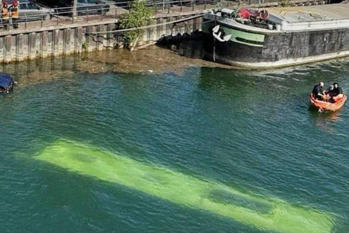 Un autobús con cuatro personas a bordo, incluyendo una conductora aprendiz y su instructor, terminó en el fondo del río cerca de París. Gracias a la rápida acción de valientes transeúntes y un gran despliegue de buzos, todos fueron rescatados con vida.