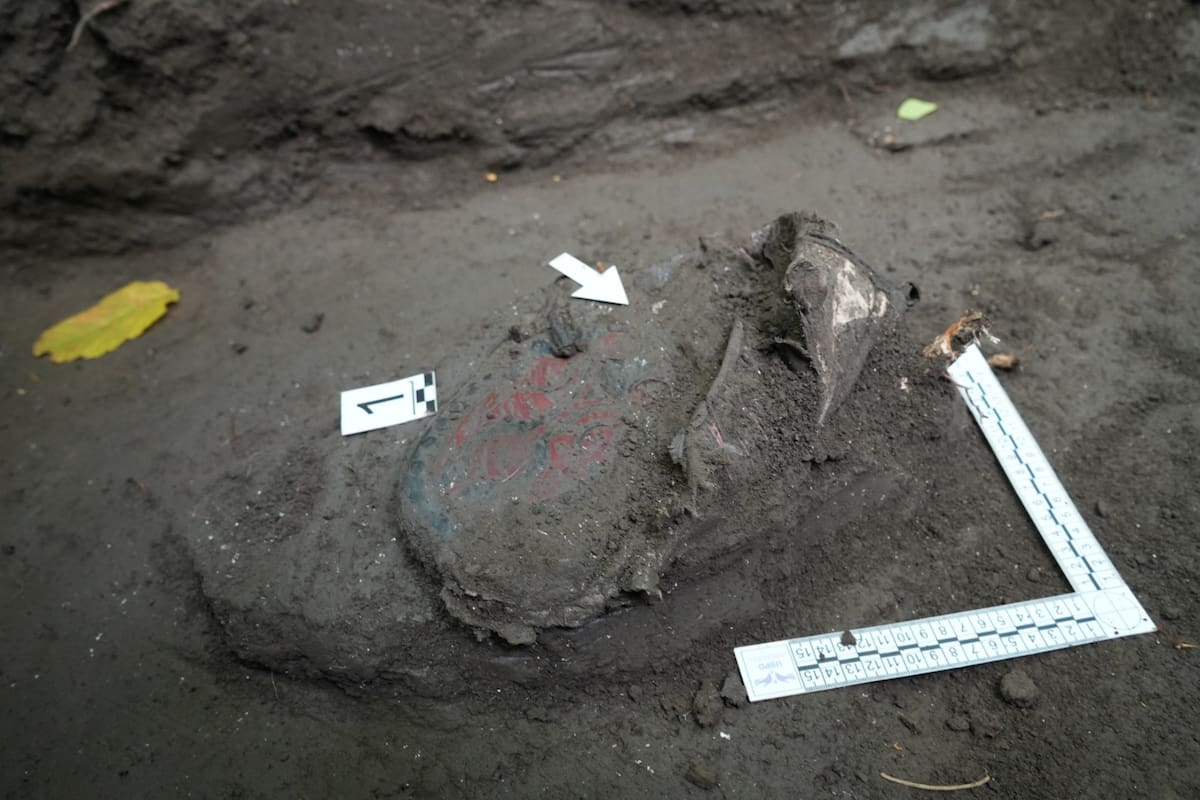 Equipos forenses de la UBPD adelantaron labores de recuperación e intervención en el cementerio de Betania, en Puerto Nare, y en zonas rurales de Puerto Boyacá.
Suministrada UBPD/Vanguardia