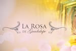 Muere a los 38 años actor mexicano de La Rosa de Guadalupe: Esto se sabe