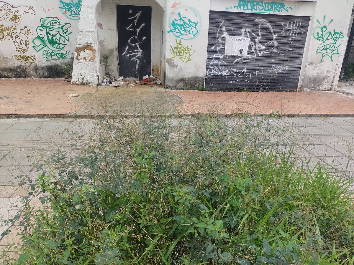 Predio abandonado, por los lados del Club Unión. (Foto: Euclides Kilô Ardila / VANGUARDIA)