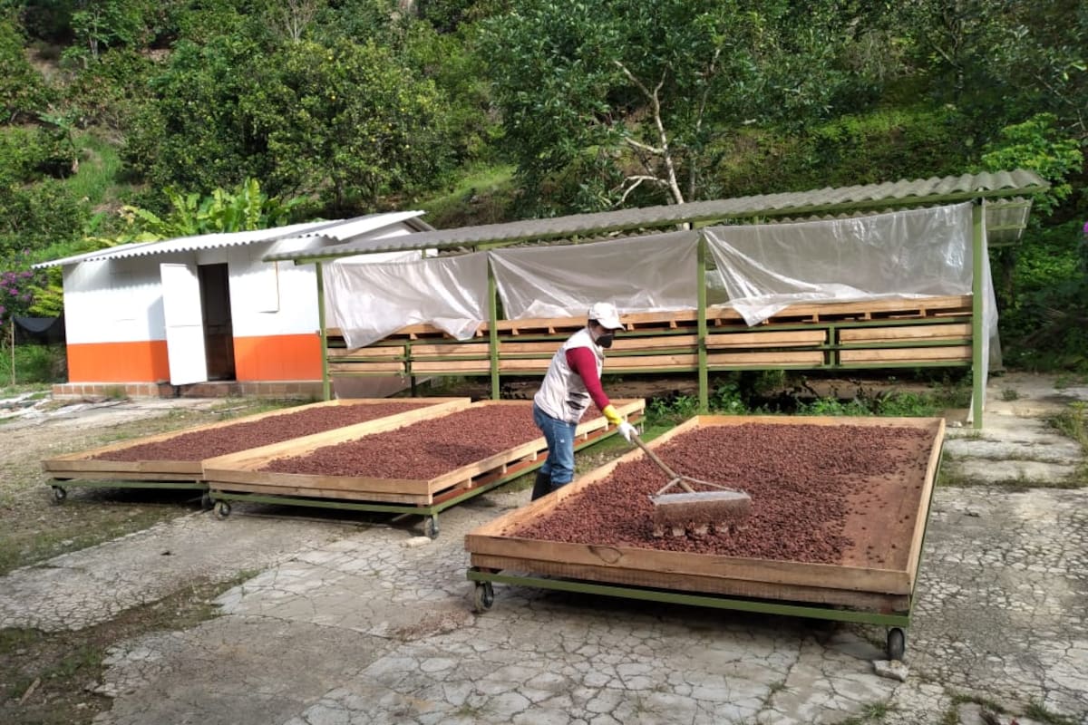 Suministrada CCB /VANGUARDIA