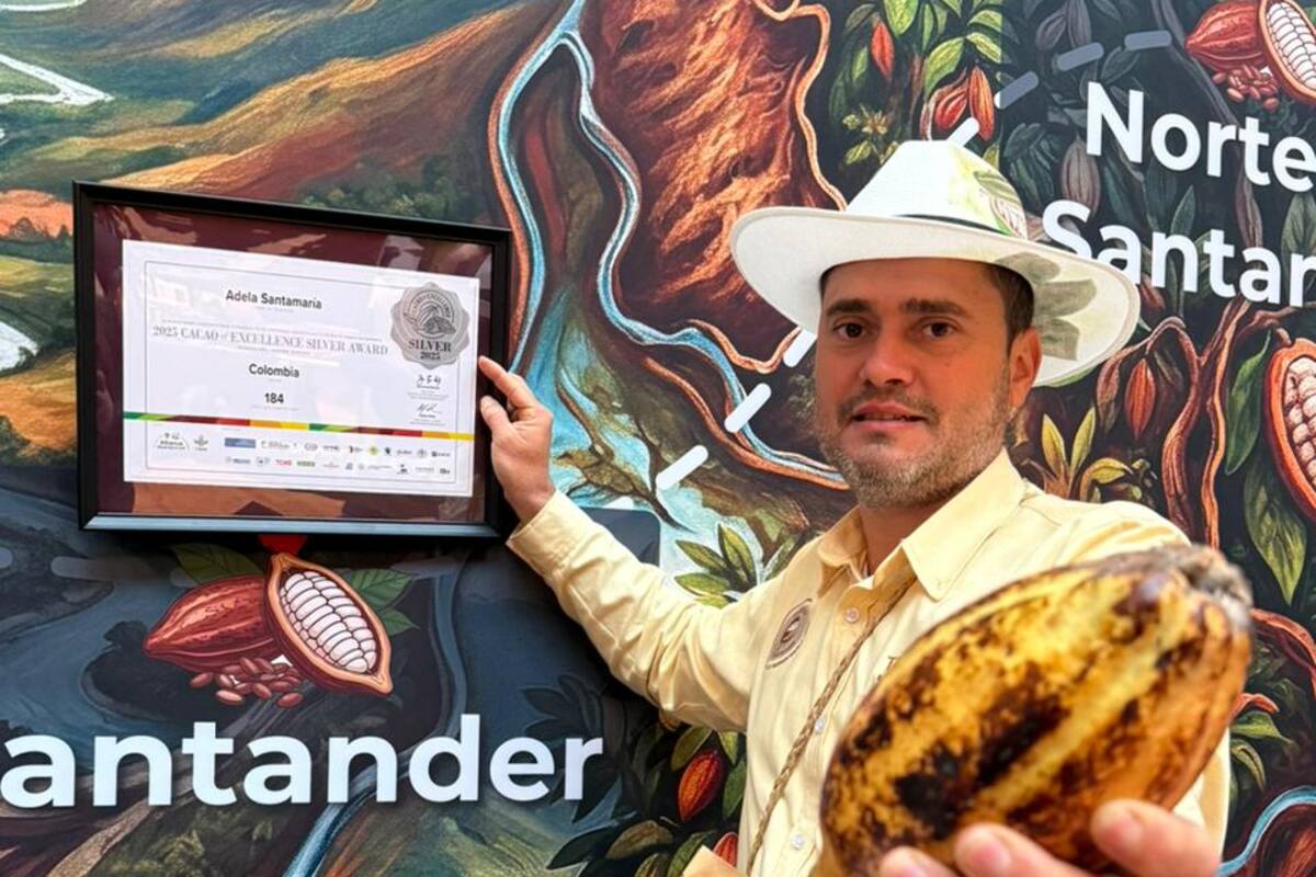 Suministrada/Vanguardia
