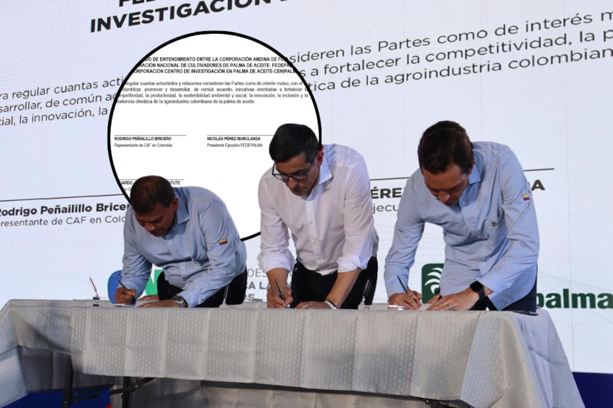 Foto suministrada por Cenipalma.