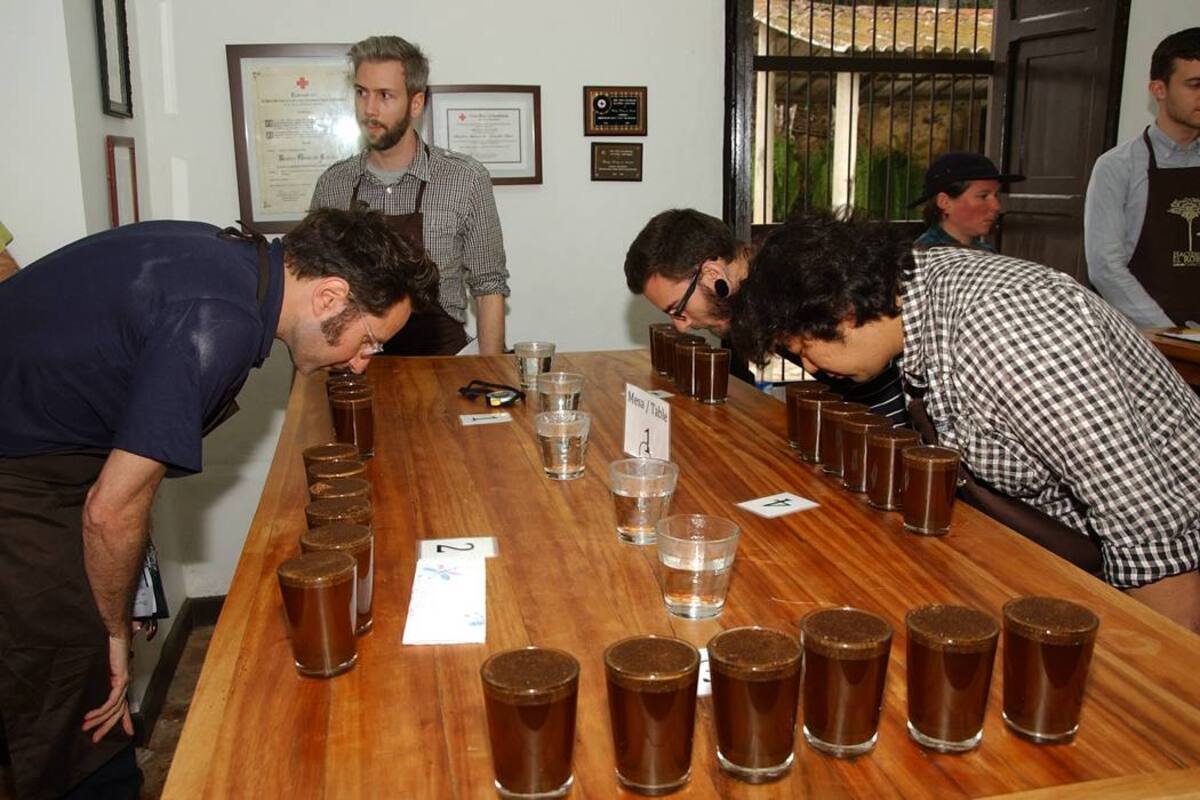 Kanematsu Corporation es uno de los principales clientes de Café Mesa de Los Santos, ya que se lleva el 40% de la producción. (Foto: Archivo/VANGUARDIA LIBERAL)