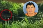 Conductor ebrio saltó a pantano para evitar control policial y terminó atacado por un caimán