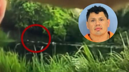 Conductor ebrio saltó a pantano para evitar control policial y terminó atacado por un caimán