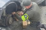 Así fue hallada una caleta con millonario cargamento de droga en Santander: dos capturados