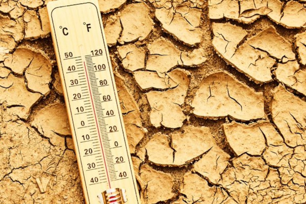 Temperaturas 17° sobre lo normal: alertan por calor extremo en Estados Unidos.