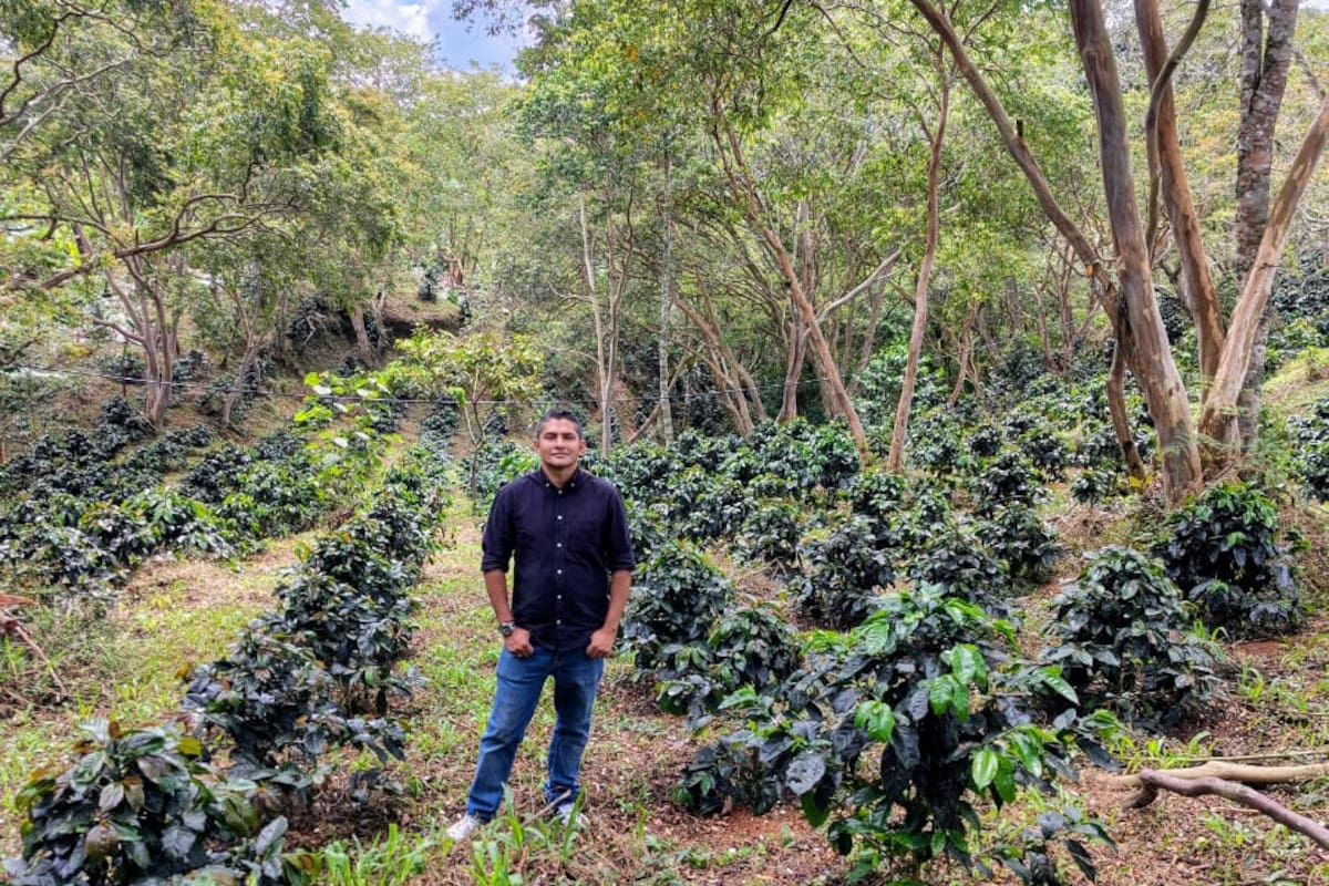 Camilo Torres, productor cafetero, participa con su grano en el concurso de calidad de café de Colombia.