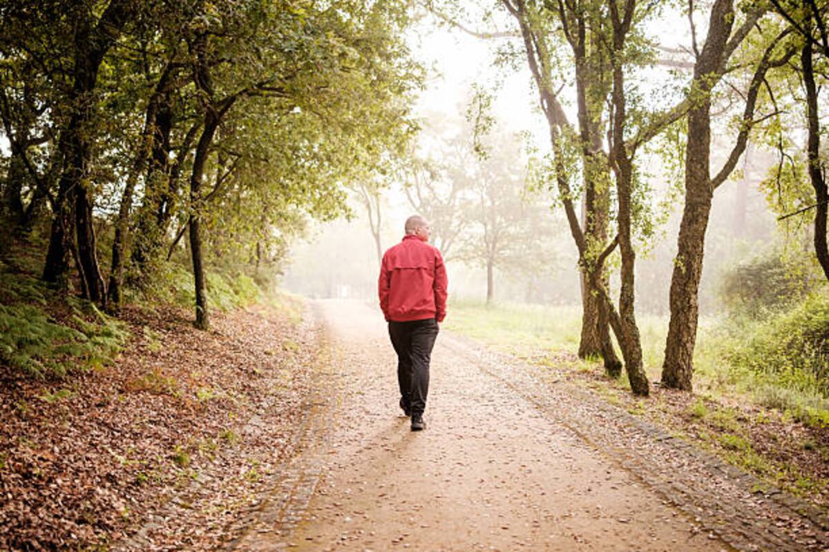 Las caminatas regulares pueden favorecer la salud cardiovascular y ayudar a conservar la movilidad durante el envejecimiento.