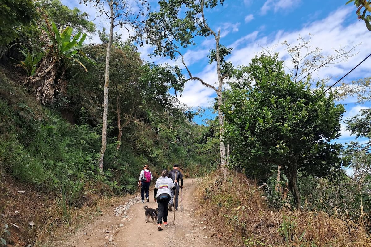 La ruta de Caminos Reales de Colombia partirá a las 7:00 a. m. desde el Parque San Pío y tendrá una duración aproximada de cuatro horas. El recorrido está catalogado como moderado.