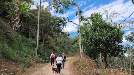¿Qué hacer este domingo en Bucaramanga? Una caminata para descubrir la naturaleza