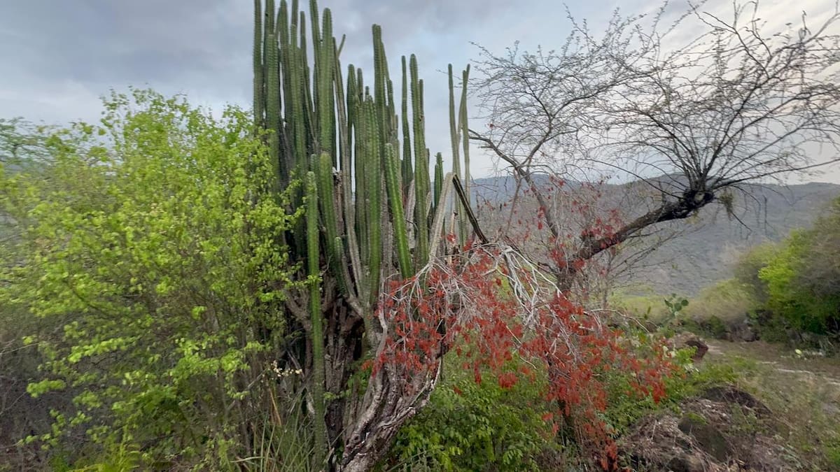 El bioma de esta zona es un desierto árido. (Foto: Juan Diego Márquez / VANGUARDIA)