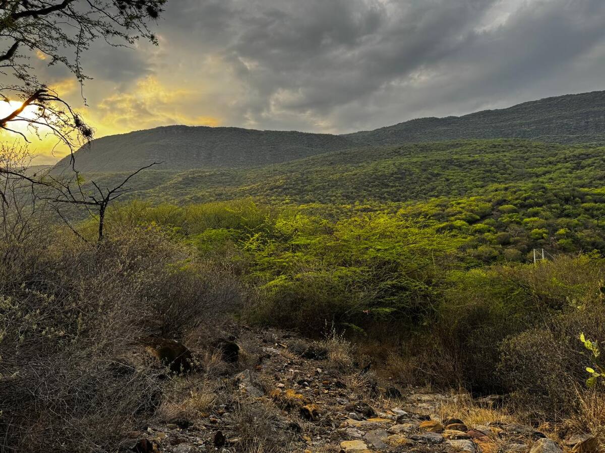 Vista desde la Serranía de los Yariguíes. (Foto: Juan Diego Miguel Márquez / VANGUARDIA)