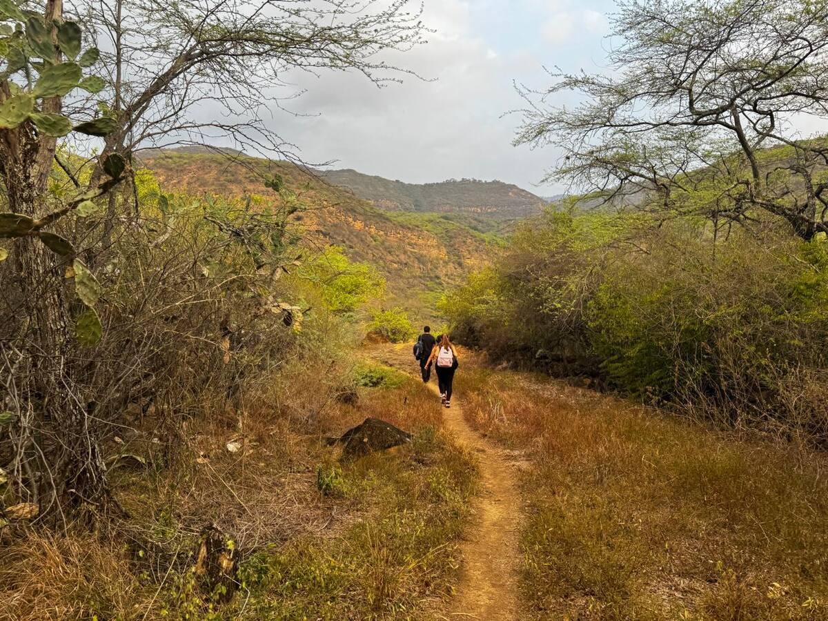 Aún quedan los trazos de estos caminos mercantiles. (Foto: Juan Diego Miguel Márquez)