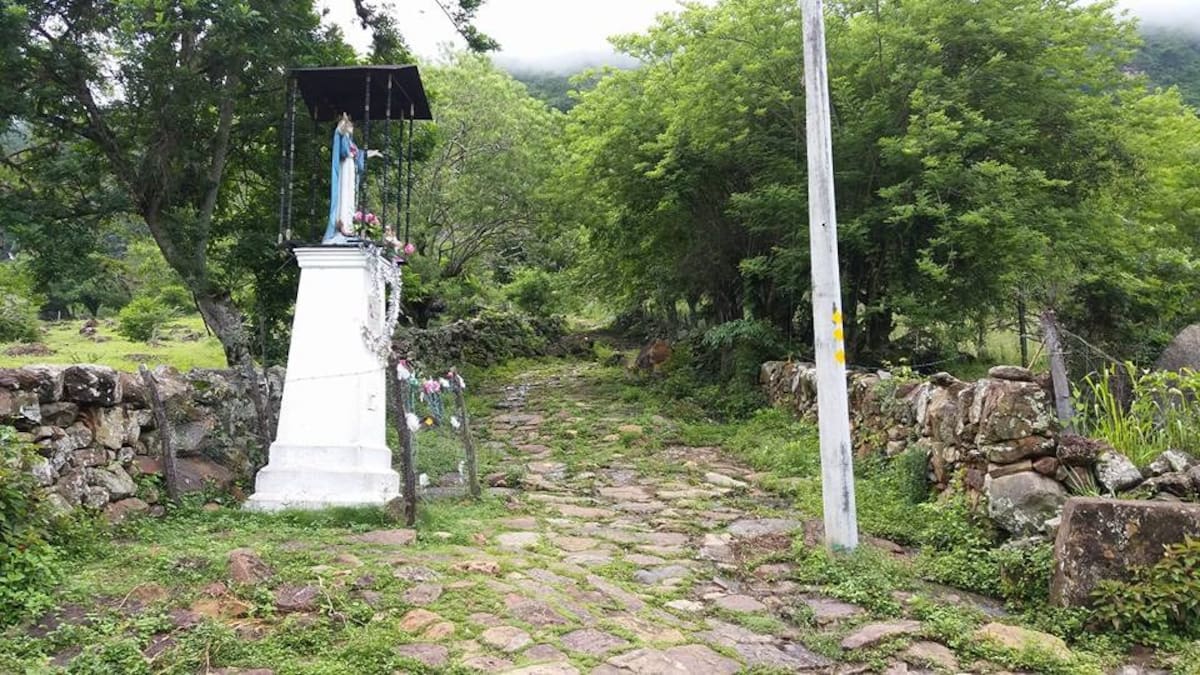 Suministrada/Vanguardia
