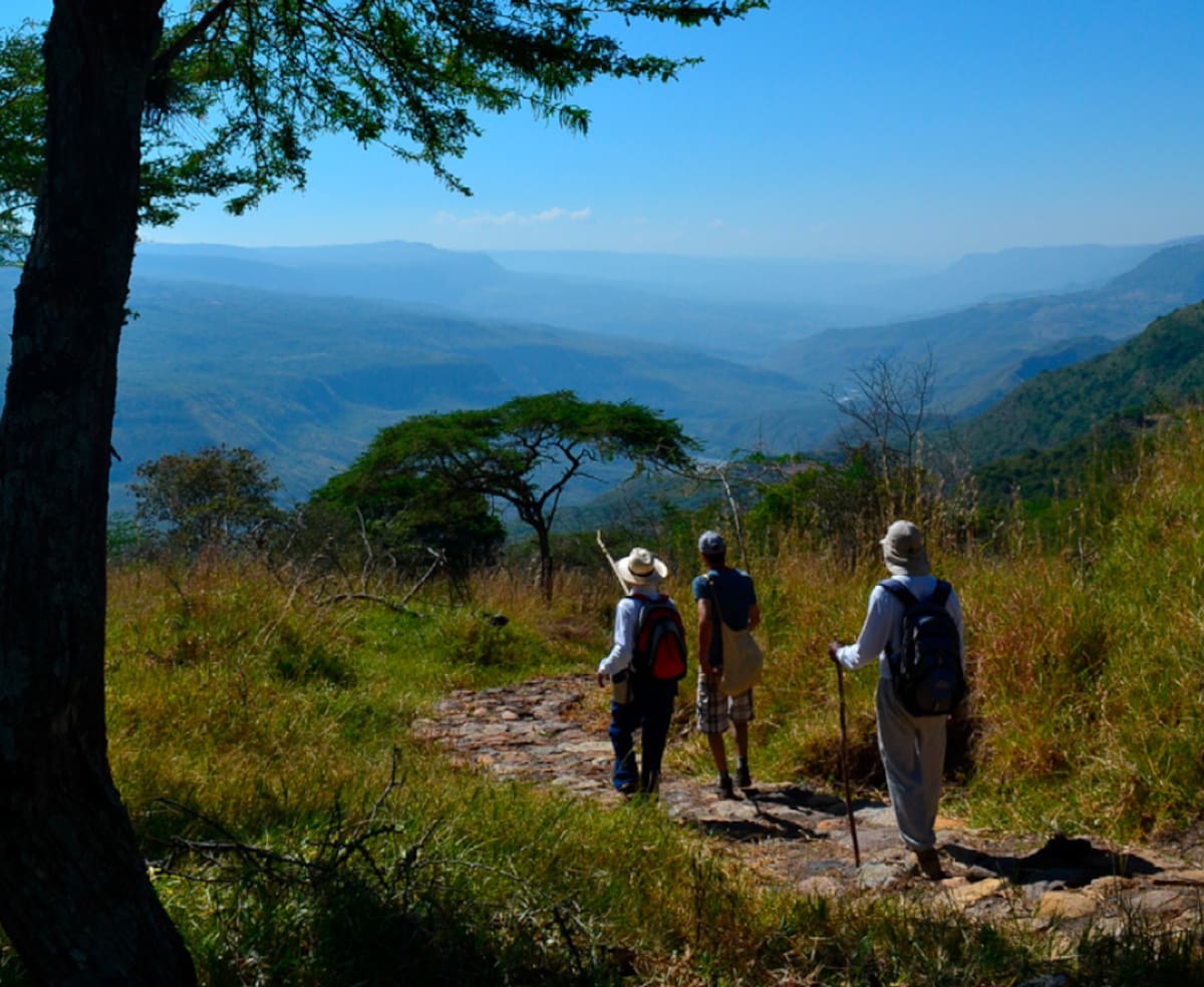 Tomada del libro Generación de un diagnóstico de la situación actual de los caminos históricos de Santander/Vanguardia
